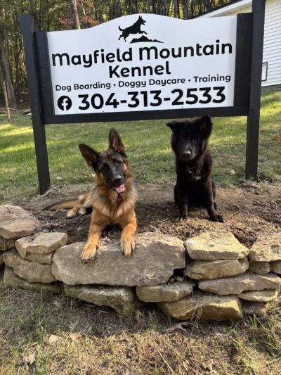 Mayfield Mountain Kennels - Morgantown, WV
