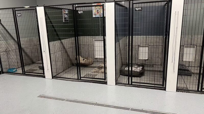 Mayfield Mountain Kennels - Morgantown, WV