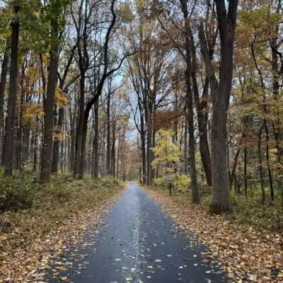 Lewis Morris Park - Morristown, NJ
