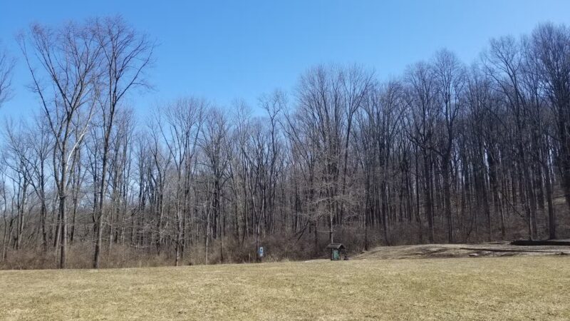 Lewis Morris Park - Morristown, NJ