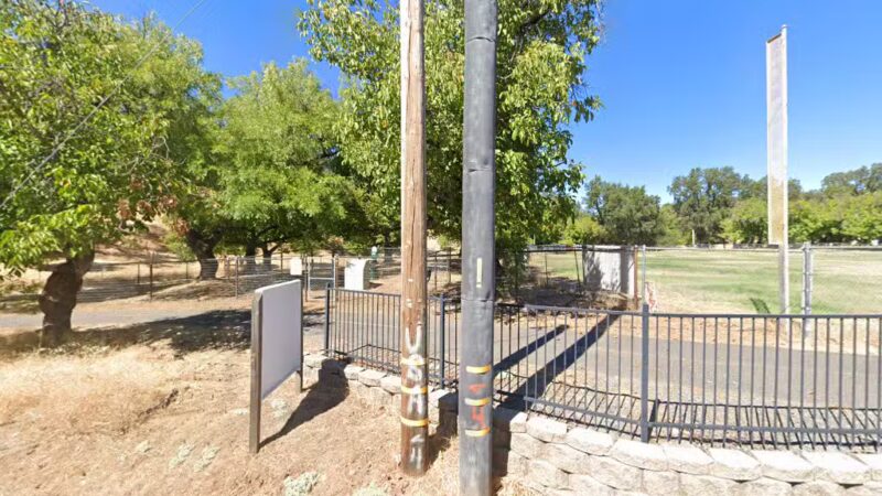 Dog park - Mountain Ranch, CA