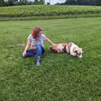 Linganore WineCellars Dog Park - Mt Airy, MD