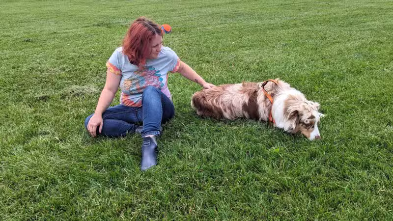 Linganore WineCellars Dog Park - Mt Airy, MD