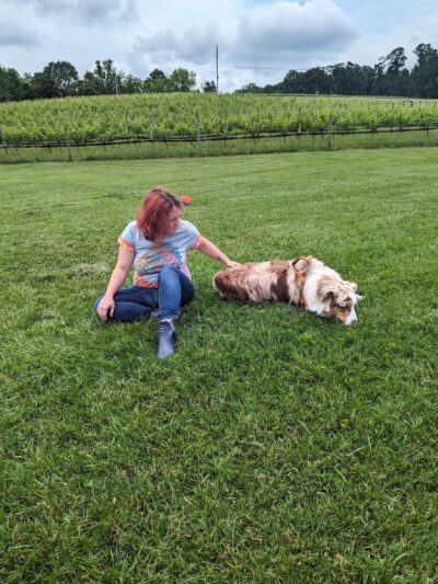 Linganore WineCellars Dog Park - Mt Airy, MD