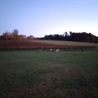 Linganore WineCellars Dog Park - Mt Airy, MD