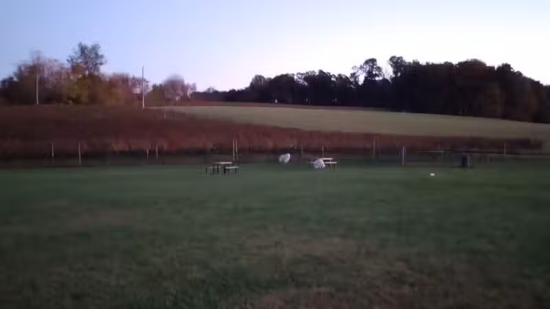 Linganore WineCellars Dog Park - Mt Airy, MD