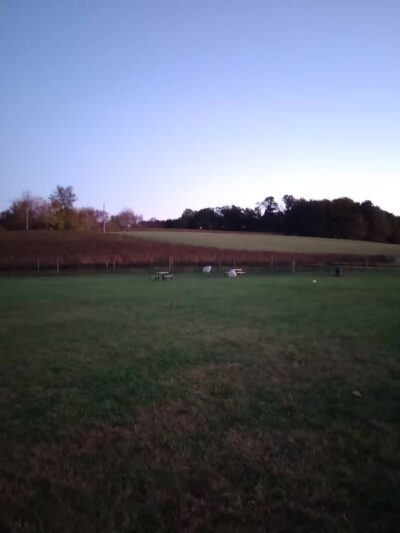 Linganore WineCellars Dog Park - Mt Airy, MD