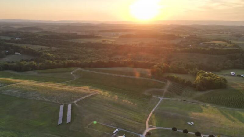 Linganore WineCellars Dog Park - Mt Airy, MD