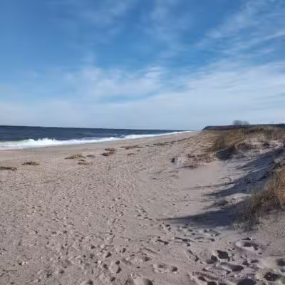 Cedar Beach Nature Center - Mt Sinai, NY