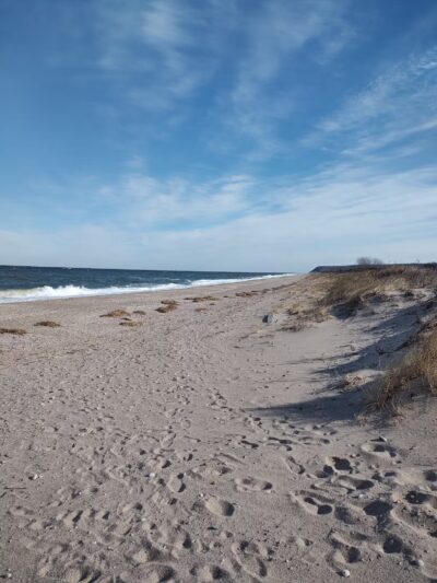 Cedar Beach Nature Center - Mt Sinai, NY