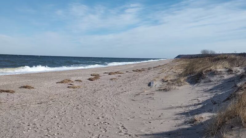Cedar Beach Nature Center - Mt Sinai, NY