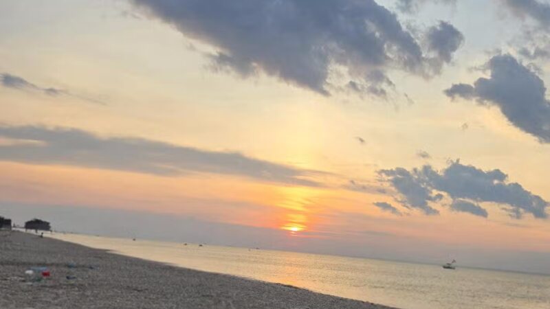 Cedar Beach Nature Center - Mt Sinai, NY