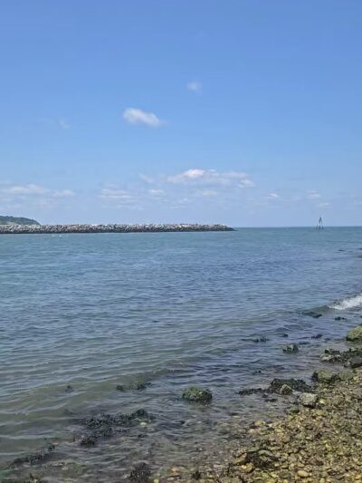 Cedar Beach Nature Center - Mt Sinai, NY
