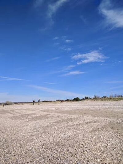 Cedar Beach Nature Center - Mt Sinai, NY