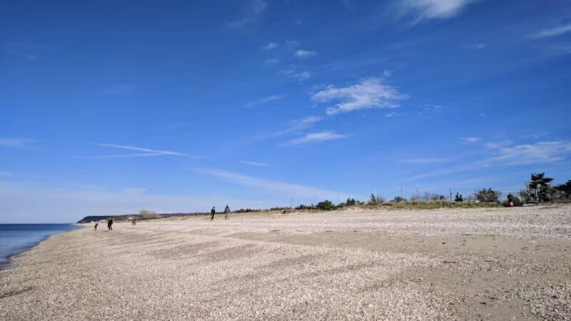 Cedar Beach Nature Center - Mt Sinai, NY