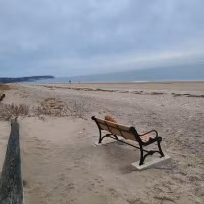 Cedar Beach Nature Center - Mt Sinai, NY