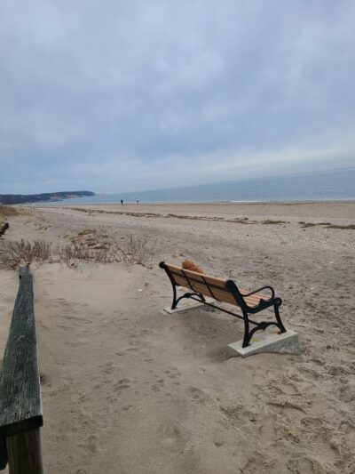 Cedar Beach Nature Center - Mt Sinai, NY