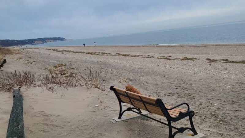 Cedar Beach Nature Center - Mt Sinai, NY