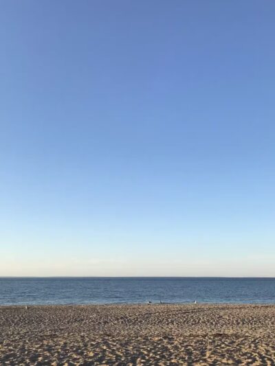 Cedar Beach Nature Center - Mt Sinai, NY