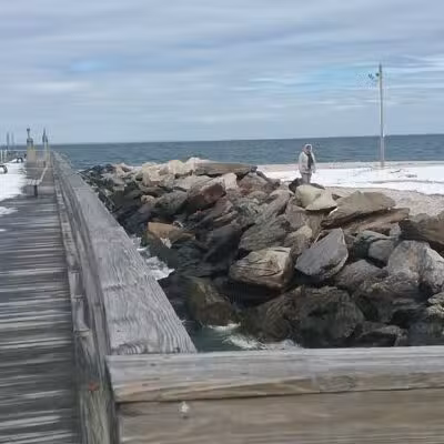 Cedar Beach Town Nature Preserve - Mt Sinai, NY