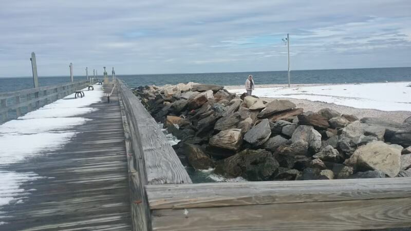 Cedar Beach Town Nature Preserve - Mt Sinai, NY