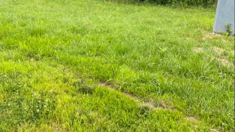 North Shore Rail Trail - Mt Sinai, NY