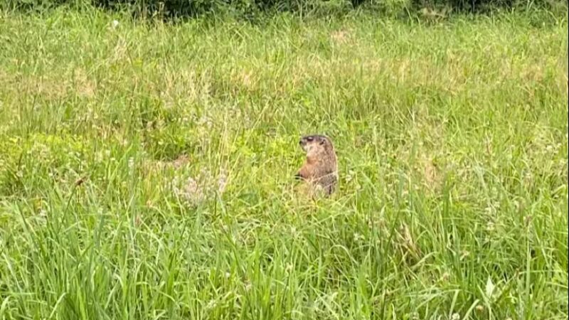 North Shore Rail Trail - Mt Sinai, NY