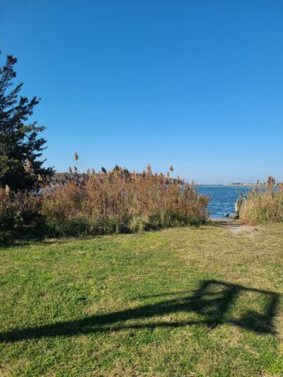 Satterly Landing Park - Mt Sinai, NY