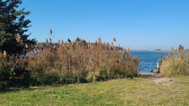 Satterly Landing Park - Mt Sinai, NY