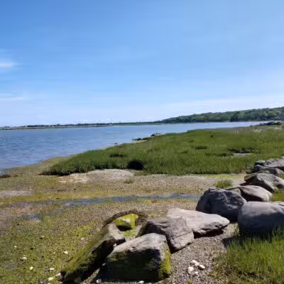 Satterly Landing Park - Mt Sinai, NY