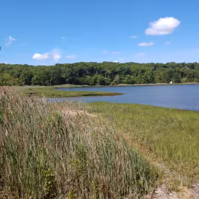 Satterly Landing Park - Mt Sinai, NY