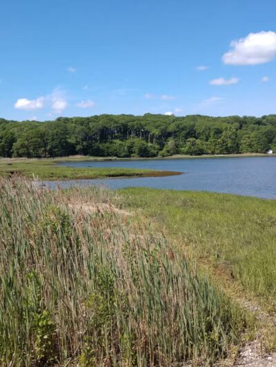 Satterly Landing Park - Mt Sinai, NY