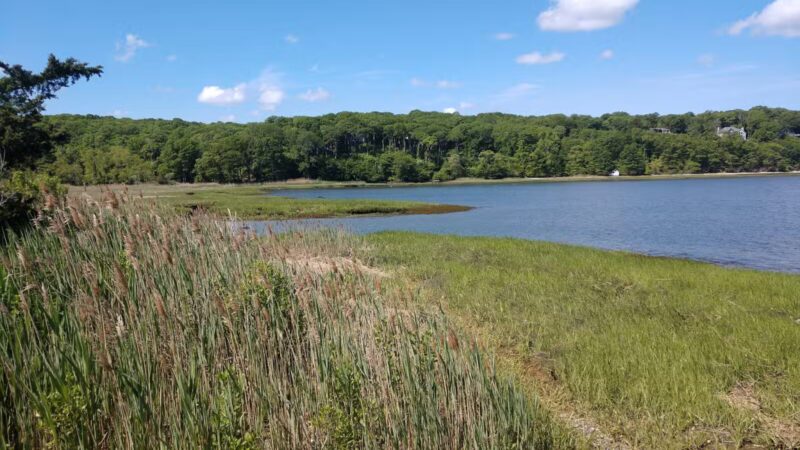 Satterly Landing Park - Mt Sinai, NY