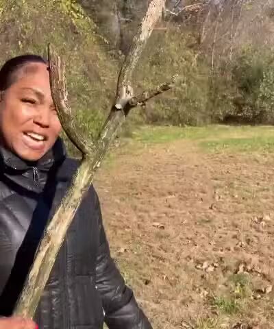 Muttontown Preserve - Muttontown, NY