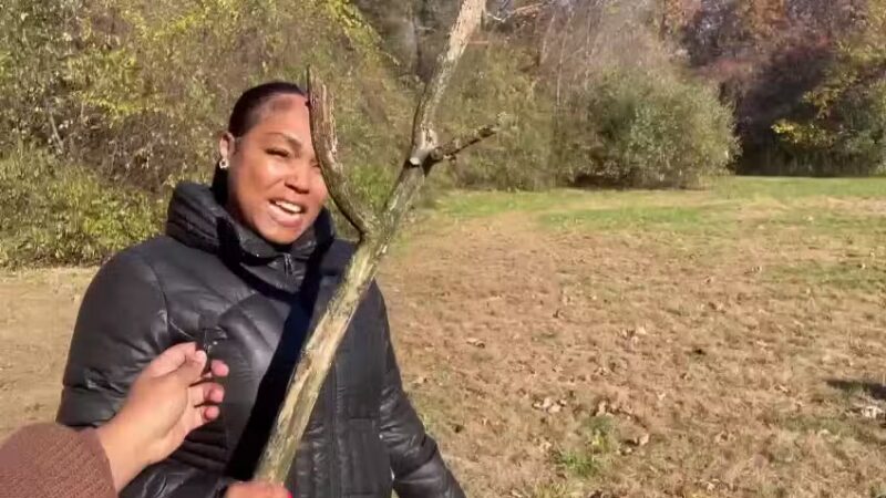 Muttontown Preserve - Muttontown, NY