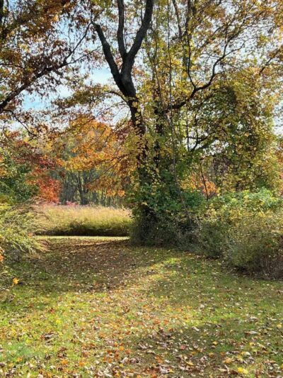 Muttontown Preserve - Muttontown, NY