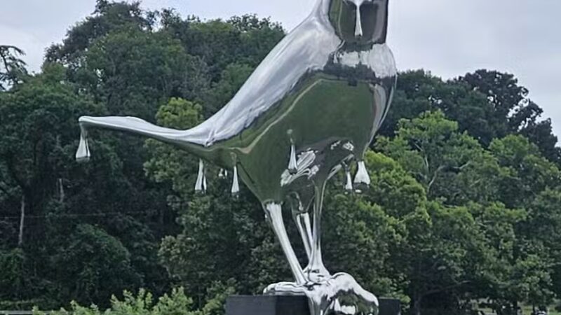 Shelby Dog Park - Nashville, TN