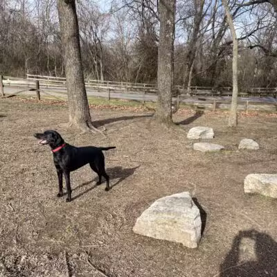 Shelby Dog Park - Nashville, TN