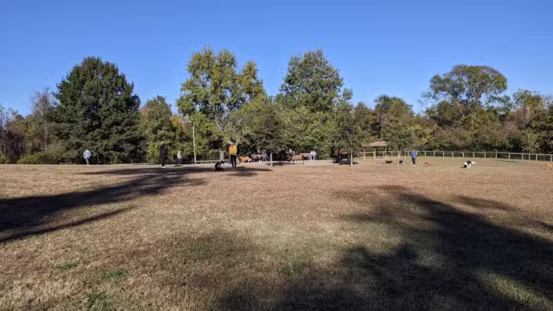 Shelby Dog Park - Nashville, TN