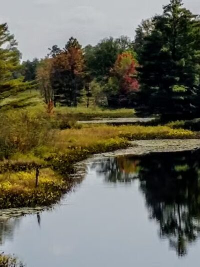 Baker Woods Preserve - Natural Bridge, NY