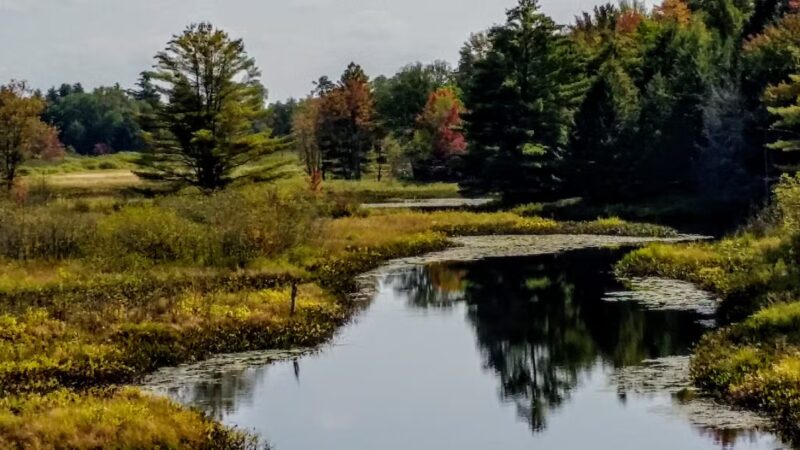 Baker Woods Preserve - Natural Bridge, NY