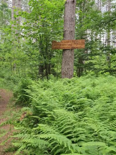 Baker Woods Preserve - Natural Bridge, NY