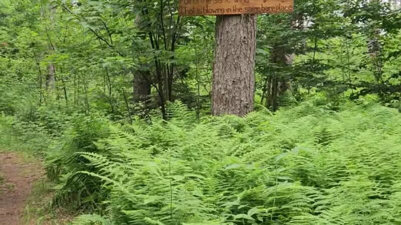 Baker Woods Preserve - Natural Bridge, NY