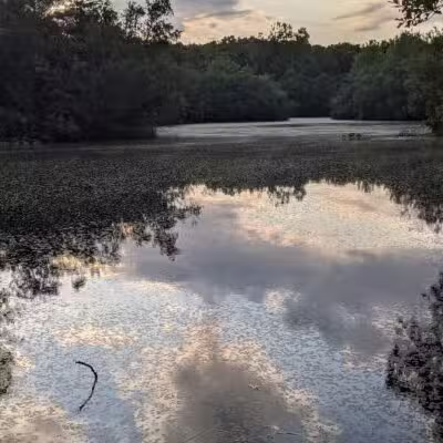 Walter S. Commerdinger, Jr. County Park - Nesconset, NY