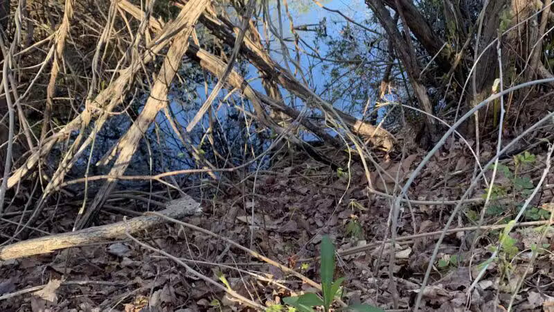 Walter S. Commerdinger, Jr. County Park - Nesconset, NY