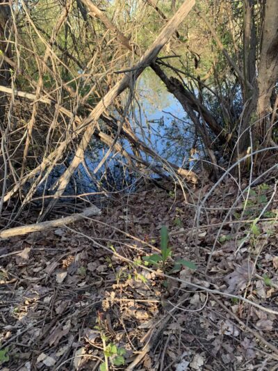 Walter S. Commerdinger, Jr. County Park - Nesconset, NY