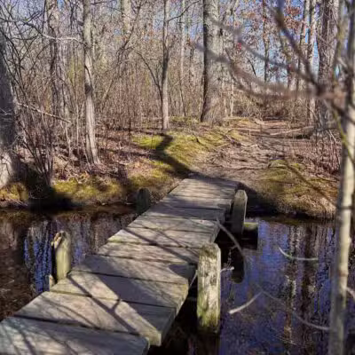 Walter S. Commerdinger, Jr. County Park - Nesconset, NY