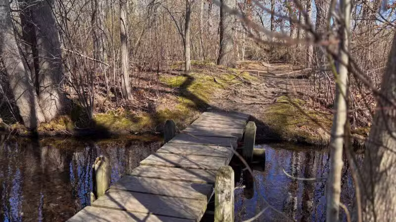 Walter S. Commerdinger, Jr. County Park - Nesconset, NY