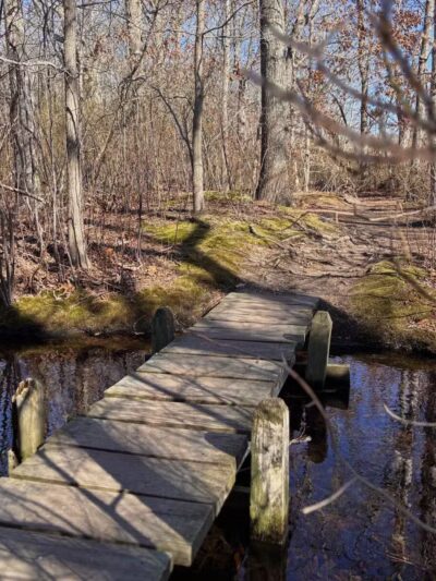 Walter S. Commerdinger, Jr. County Park - Nesconset, NY
