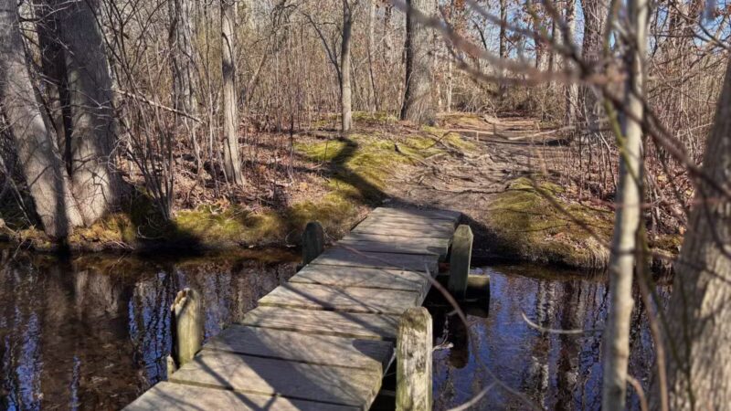 Walter S. Commerdinger, Jr. County Park - Nesconset, NY